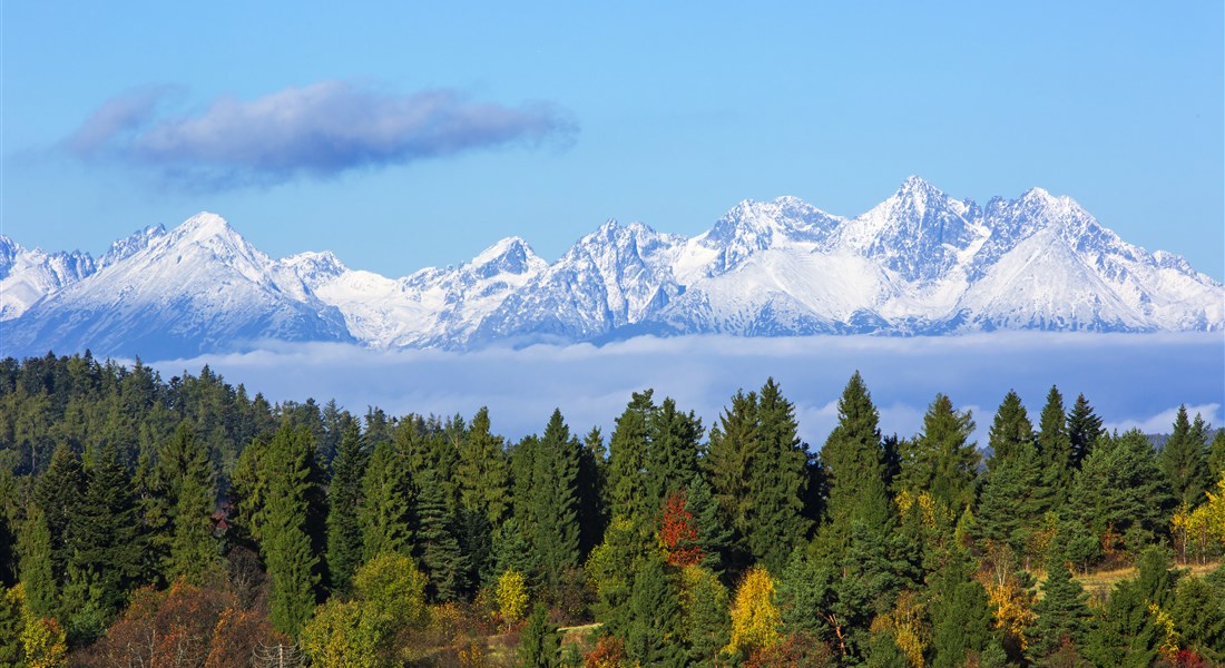Vysoké Tatry